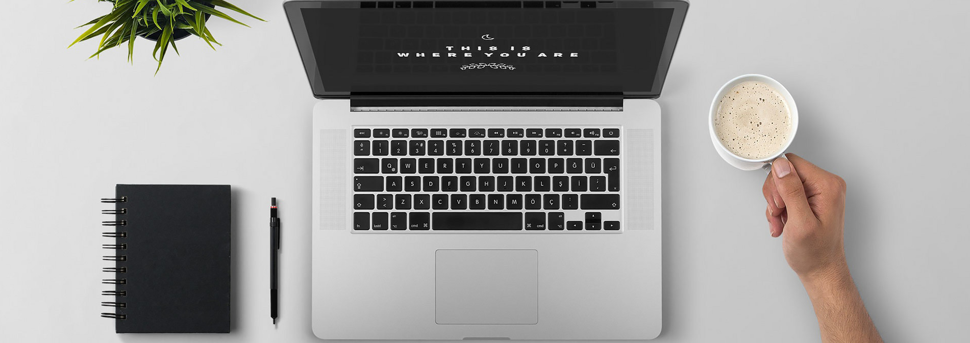 图片三（图片尺寸：高437，宽度大于1000）